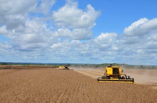 Safra 2024/25 começa: solo corrigido faz a diferença no plantio