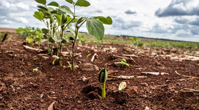 Checklist final antes do plantio da safra 2025/26